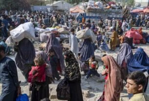 1958646 globally pakistani citiz