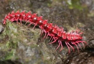 1f577a135df17f5dfe222e9ca0fe6990