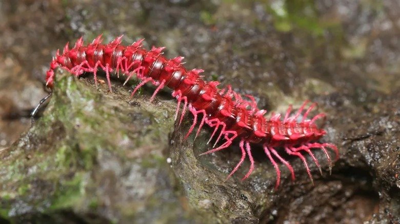 1f577a135df17f5dfe222e9ca0fe6990