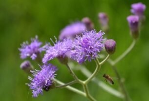 320779 202601123635489