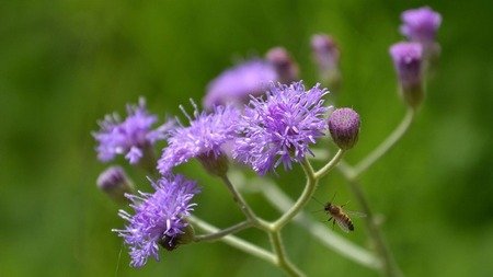 320779 202601123635489