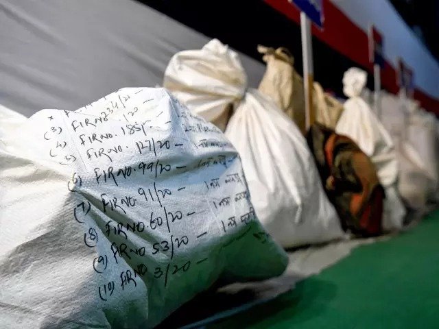 5147975 ani 20260108050848