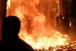 Ludhiana1 1024x576 1