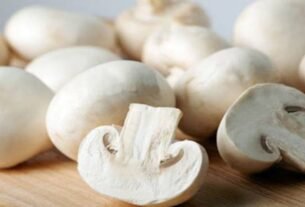 mushroom s 650 091615055516