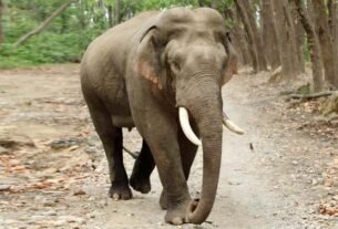 2026 2image 18 12 34983350112