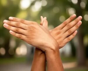 325415 202602043661027