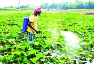 india protects its agriculture