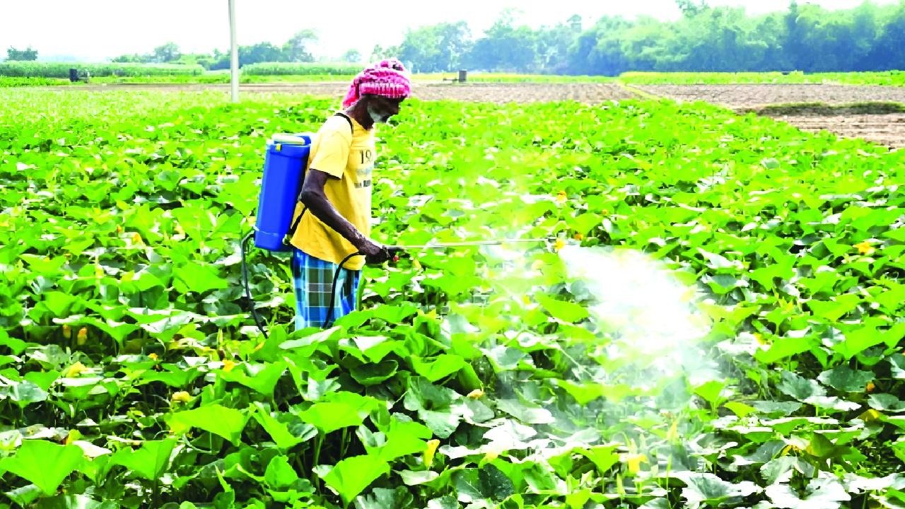 india protects its agriculture