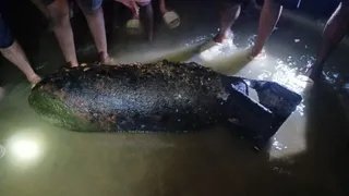 स्वर्णरेखा नदी में मिला भारी भरकम मिसाइल बम, क्षेत्र में मची अफरा-तफरी 1 image 1776341777097