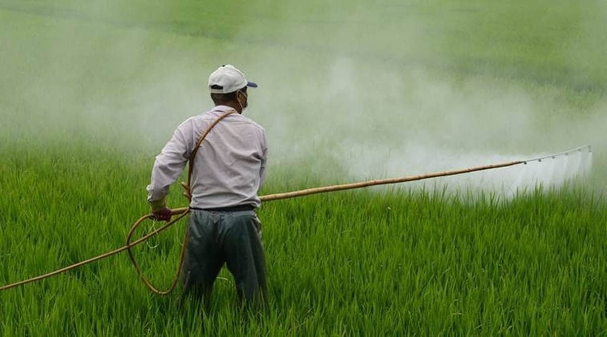 fertilizer 1