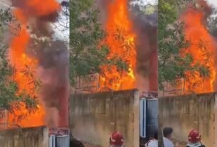fire pb 1778324862628 v