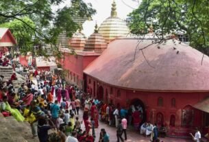 asam mela 1782016591966