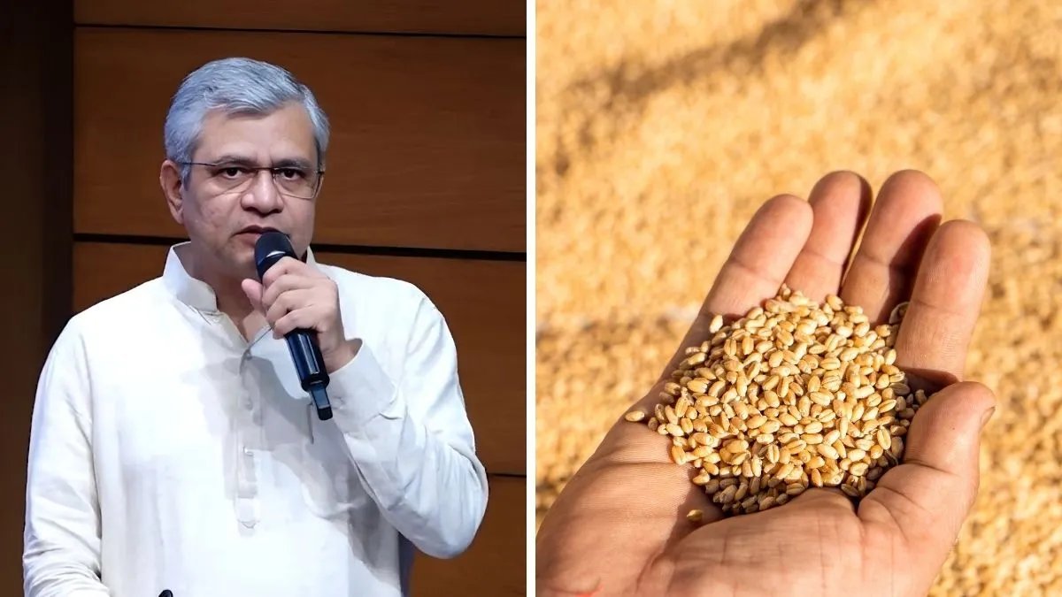 wheat msp 1790762921